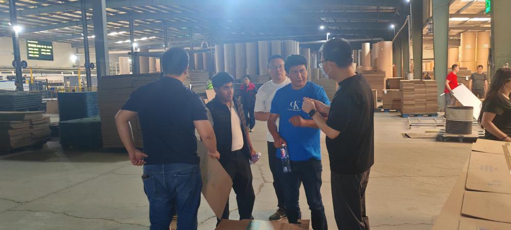 ZMJ-Packaging-Factory-Production-Line-Inspection